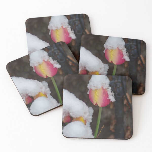 Item preview, April Snow and Tulips designed and sold by SRosuphotos.