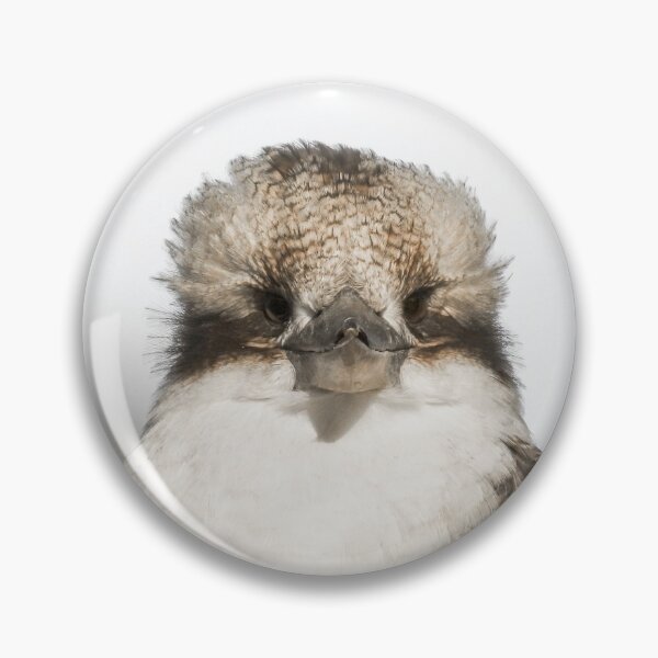 Item preview,  Baby Kookaburra - Australian Native Wildlife - Wildlife Designs - Birdlife designed and sold by phillymag.