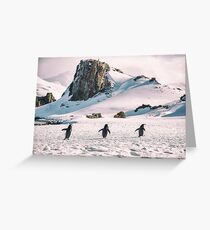 Three Amigos - Antarctica Greeting Card