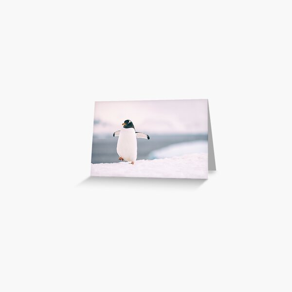 Item preview, Happy Feet - Antarctica designed and sold by JamesKaoFoto.