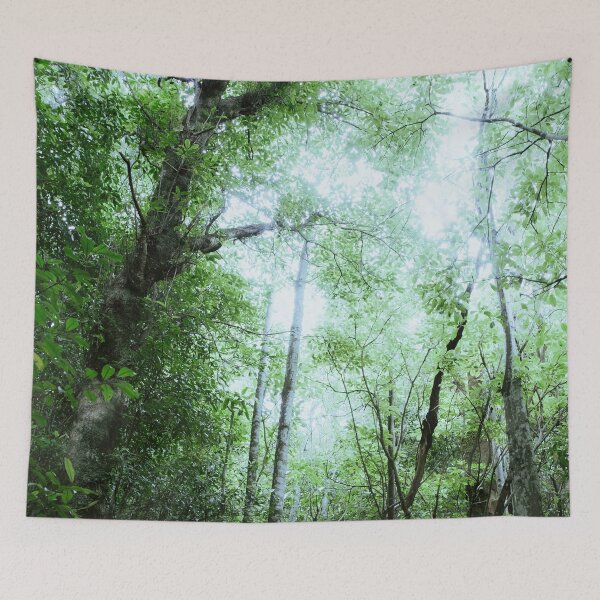 Item preview, Cloud Forest designed and sold by ind3finite.