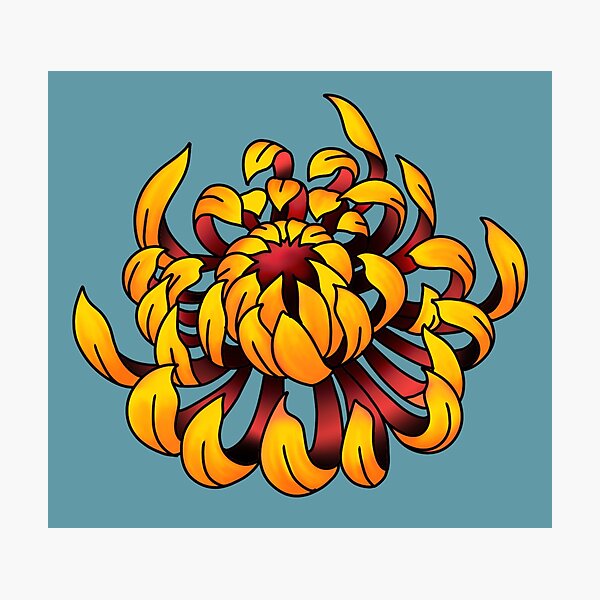chrysanthemum elbow