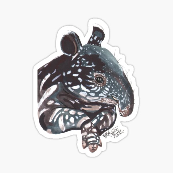 Vista previa del artículo con la obra «Baby Tapir», diseñado y vendido por Brian James Fichtner.