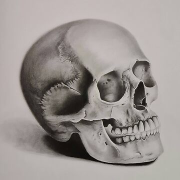 Artwork thumbnail, The Skull by NadynedeVel