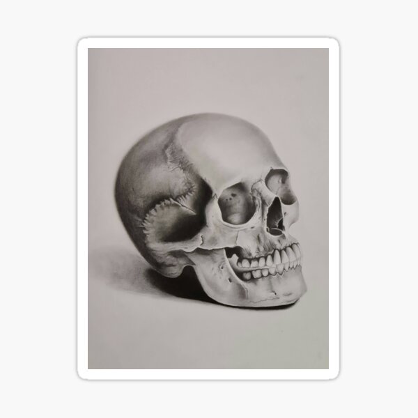 The Skull Sticker