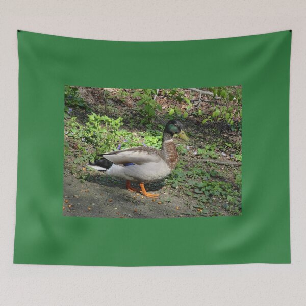 Item preview, Wanna Buy A Duck? designed and sold by Lanis Rossi.