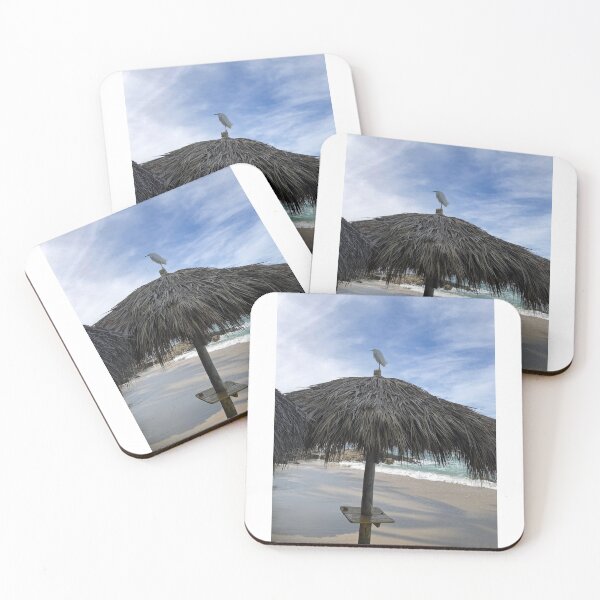 Item preview, Bird on the Beach All Alone on a Mexican Beach Remember to Find Your Beach The Joys of Mexico designed and sold by prohockeylabs.