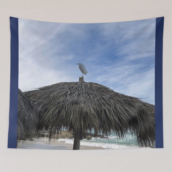 Item preview, Bird on the Beach All Alone on a Mexican Beach Remember to Find Your Beach The Joys of Mexico designed and sold by prohockeylabs.