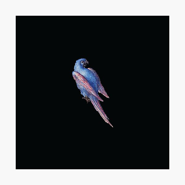 Aperçu de l'œuvre Wild Birds créée et vendue par EVERTEESLOVER.
