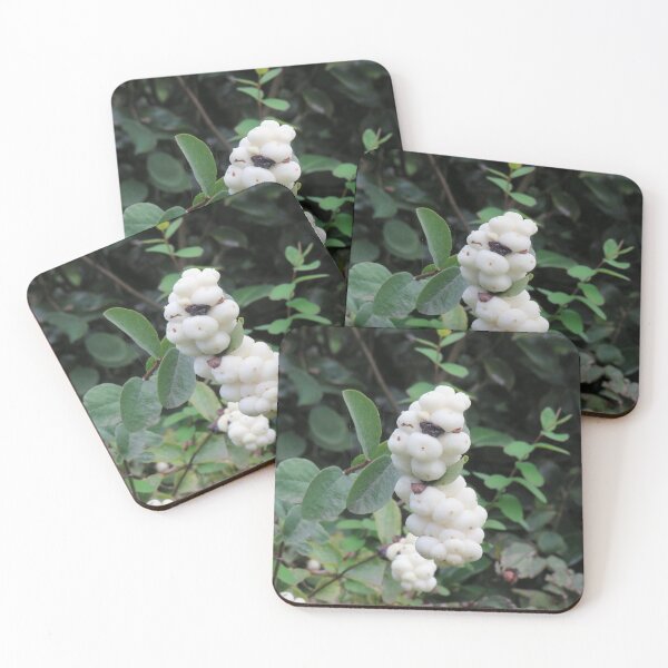 Item preview, Strange white berries designed and sold by greentiger1.
