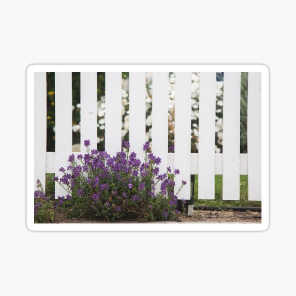 Item preview, White Picket Fence designed and sold by cmariephoto.