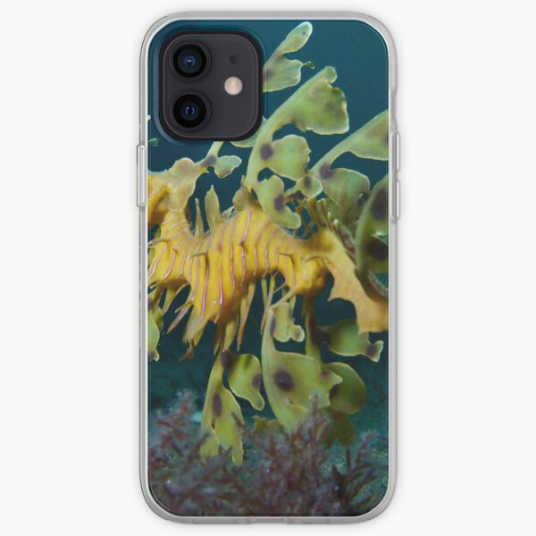 Leafy Seadragon iPhone Soft Case