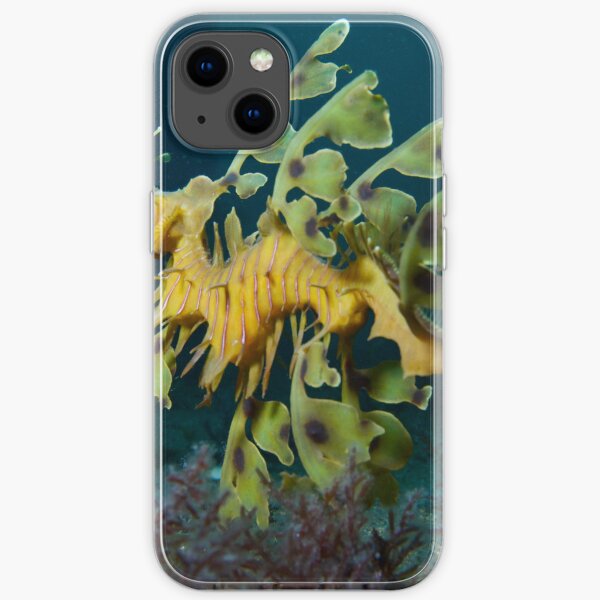Leafy Seadragon iPhone Soft Case