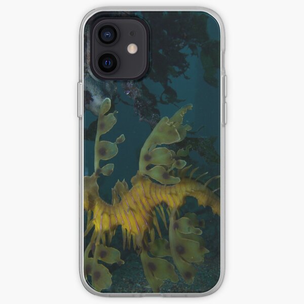 Leafy Seadragon iPhone Soft Case
