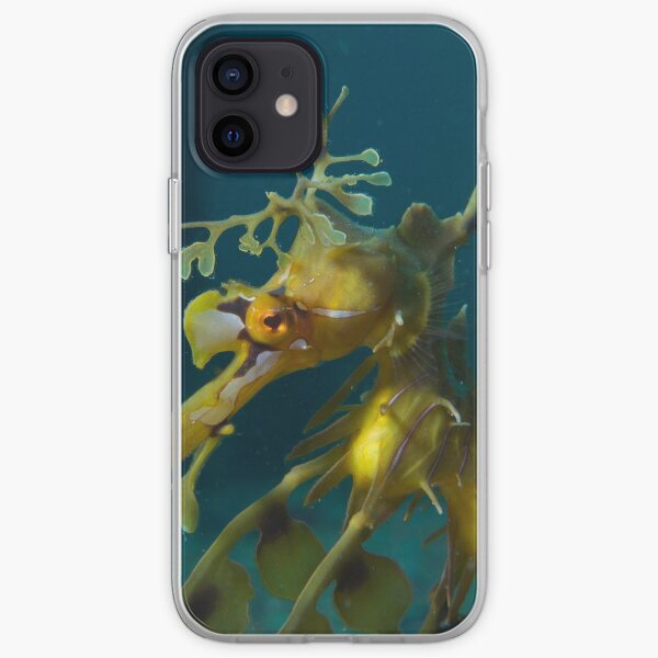 Leafy Seadragon iPhone Soft Case
