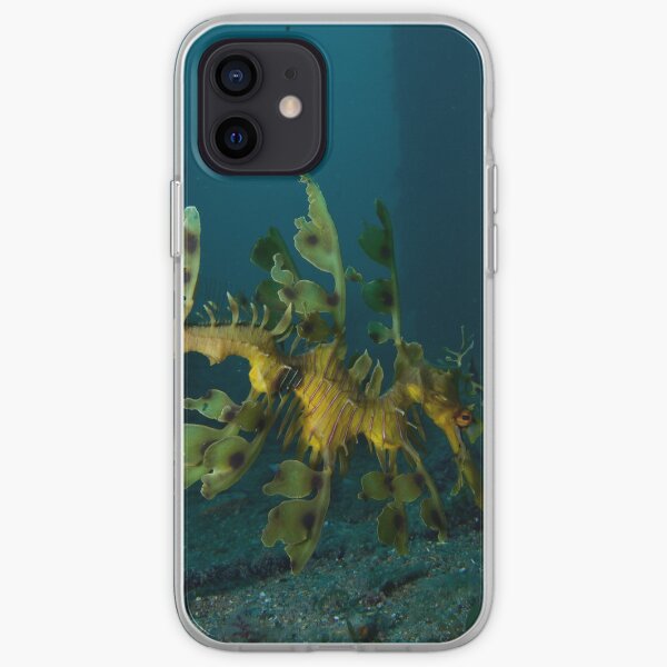 Leafy Seadragon iPhone Soft Case