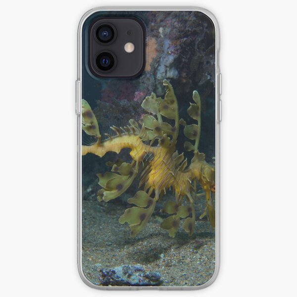 Leafy Seadragon iPhone Soft Case