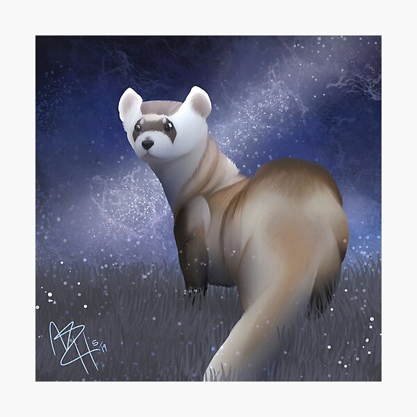 Item preview, The Black Footed Ferret designed and sold by ThrillerKiller.