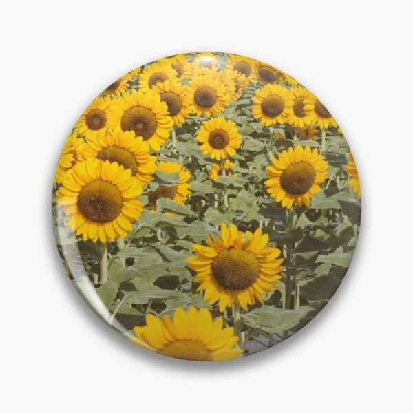 Item preview, Sunflower Field, Garisole  Farm designed and sold by michelleprdlla.