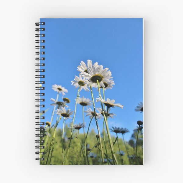 Item preview, Daisy to the Sky designed and sold by Kathleen Daley.