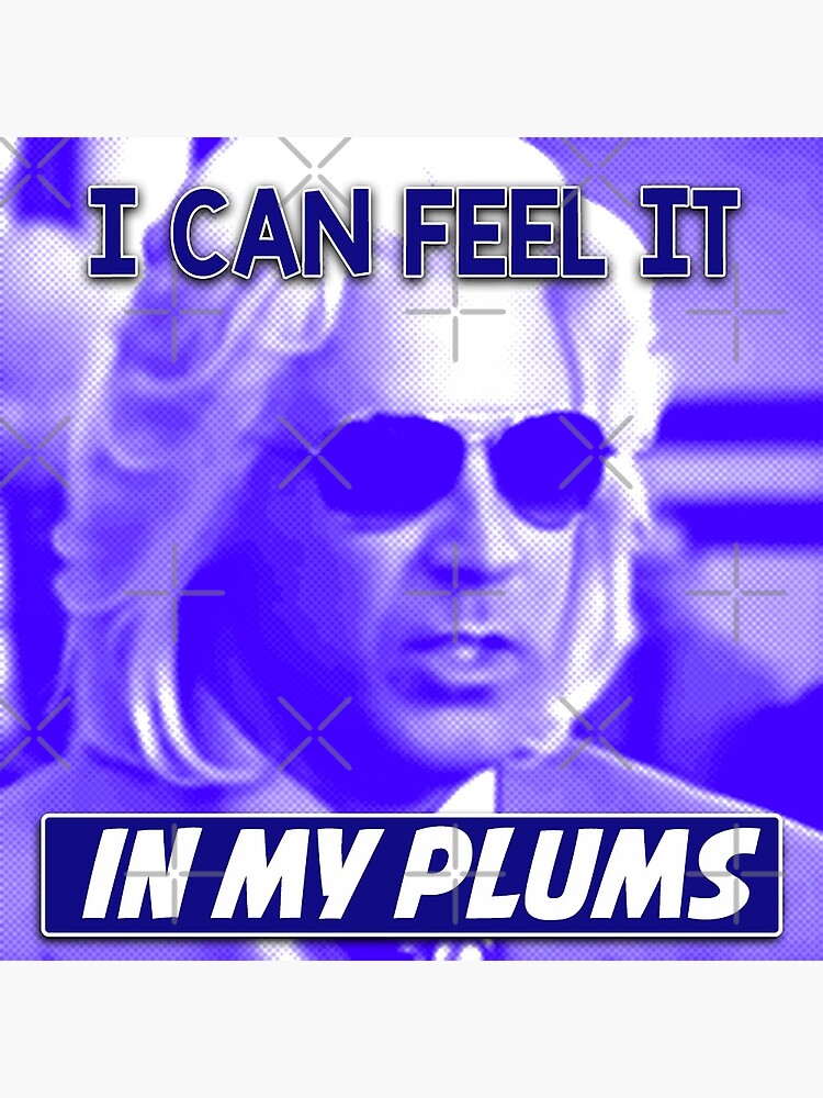 "Ashley Schaeffer I Can Feel It In My Plums Kenny Powers" Poster by