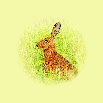 Artwork thumbnail, Rabbit by Guardi71