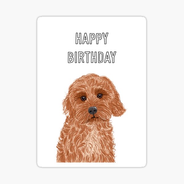 "Cockapoo Birthday Greeting" Sticker for Sale by AdamRegester | Redbubble