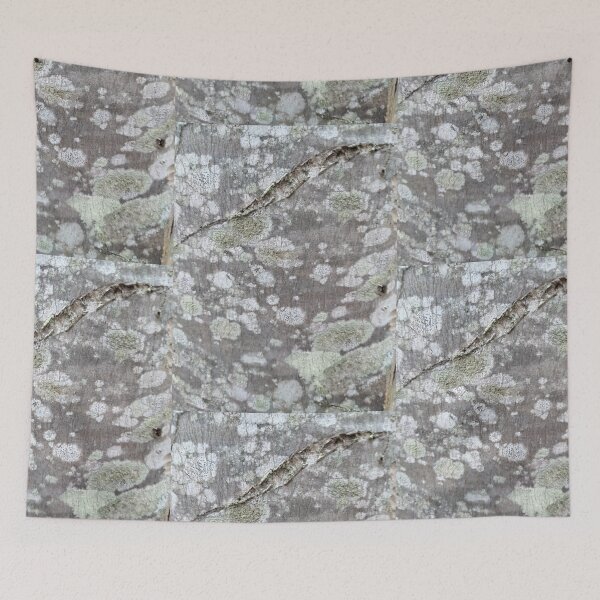 Item preview, Moss on Bark designed and sold by TeaFairy Art.
