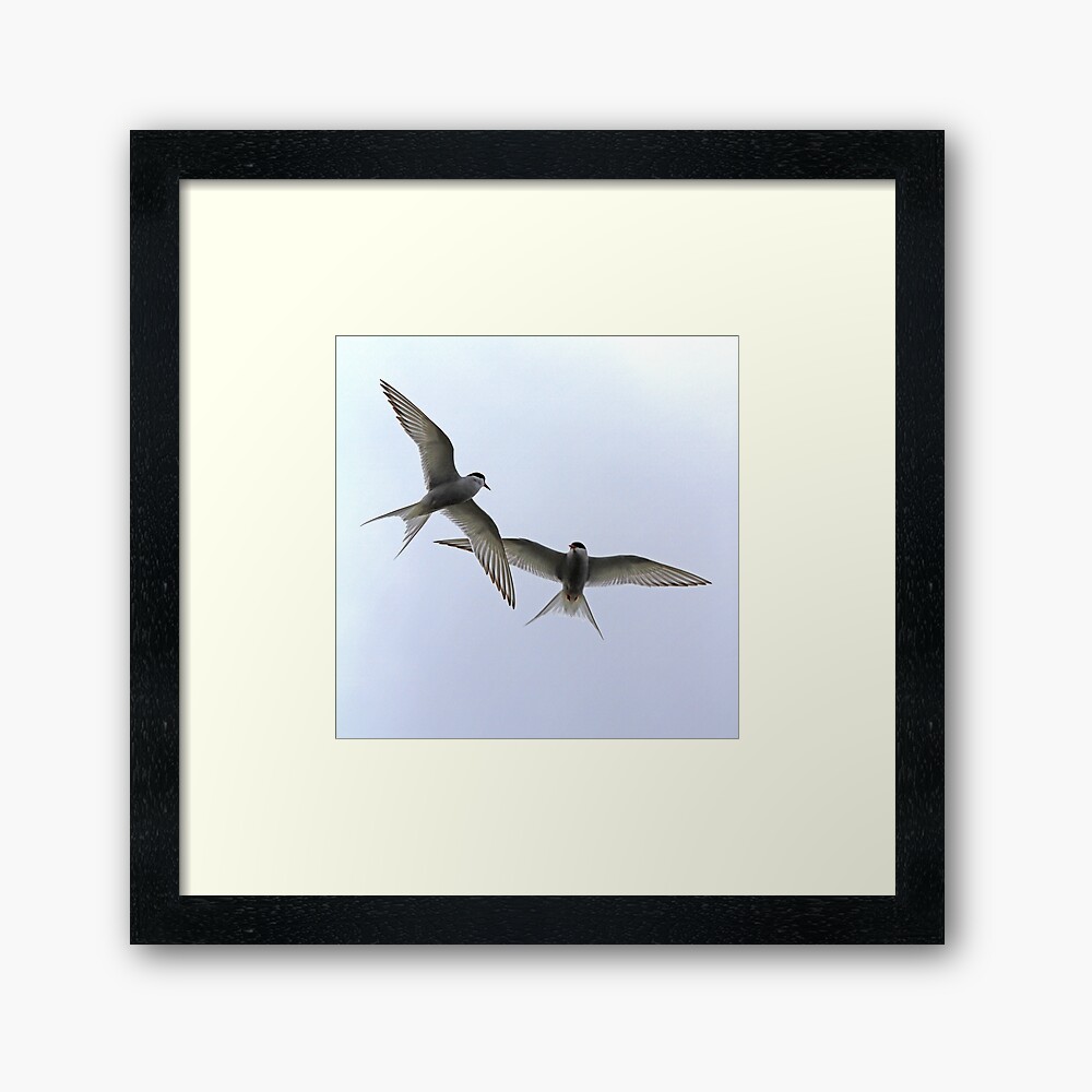 "Learning to Fly" Framed Art Print by FXST Redbubble