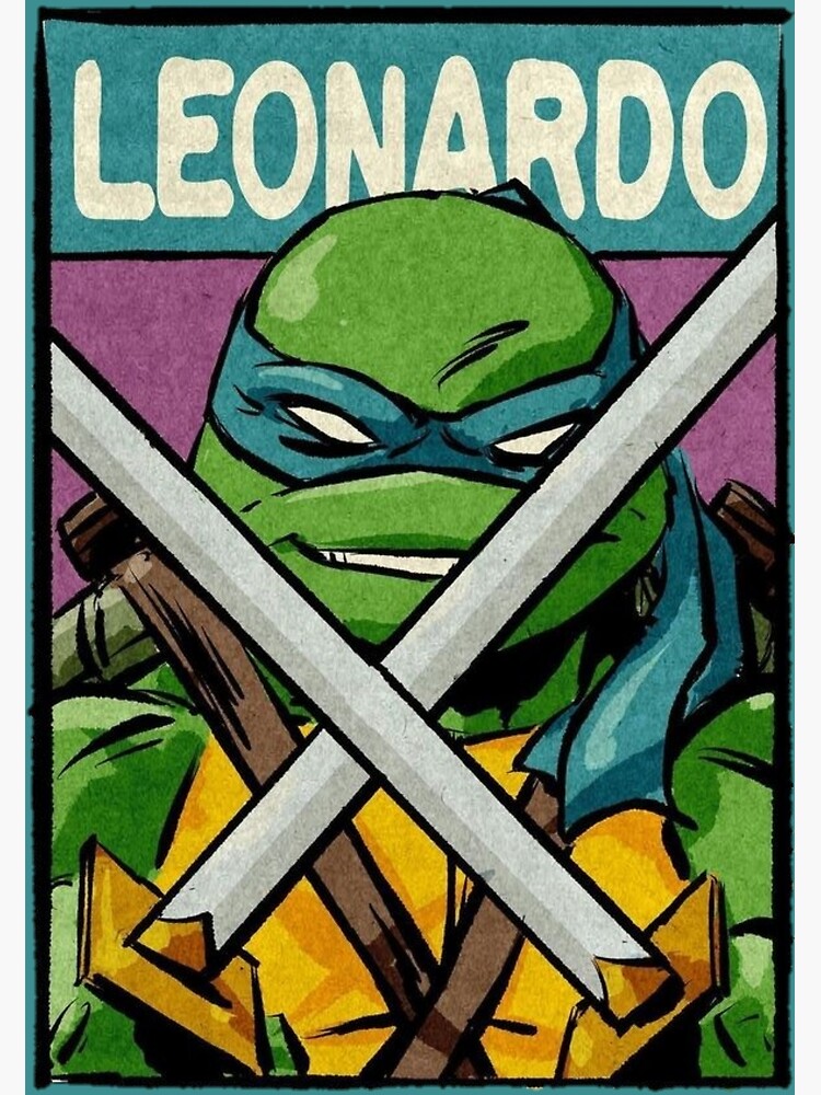 20 Inch Teenage Mutant Ninja Turtles Leonardo Holiday Christmas Stocking :  : Home