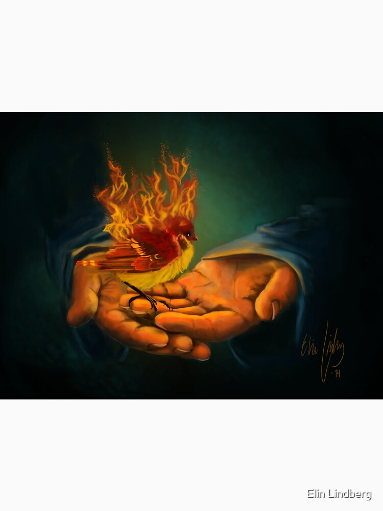 Out of the Ashes by elindberg