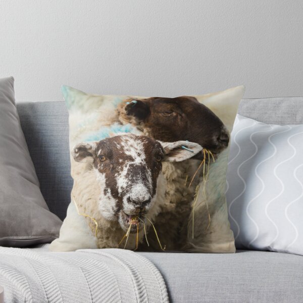 Item preview, Lunchtime for Sheep designed and sold by Jane Stanley Photography.