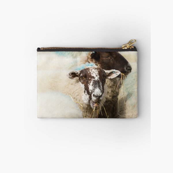 Item preview, Lunchtime for Sheep designed and sold by Jane Stanley Photography.