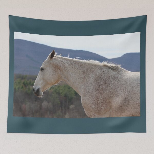 Item preview, Sleepy Horse in Spring Sunshine designed and sold by LisaNaturePhoto.