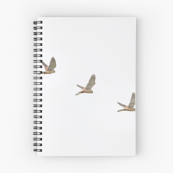 Item preview, Kestrel in flight montage designed and sold by ClaireChown.