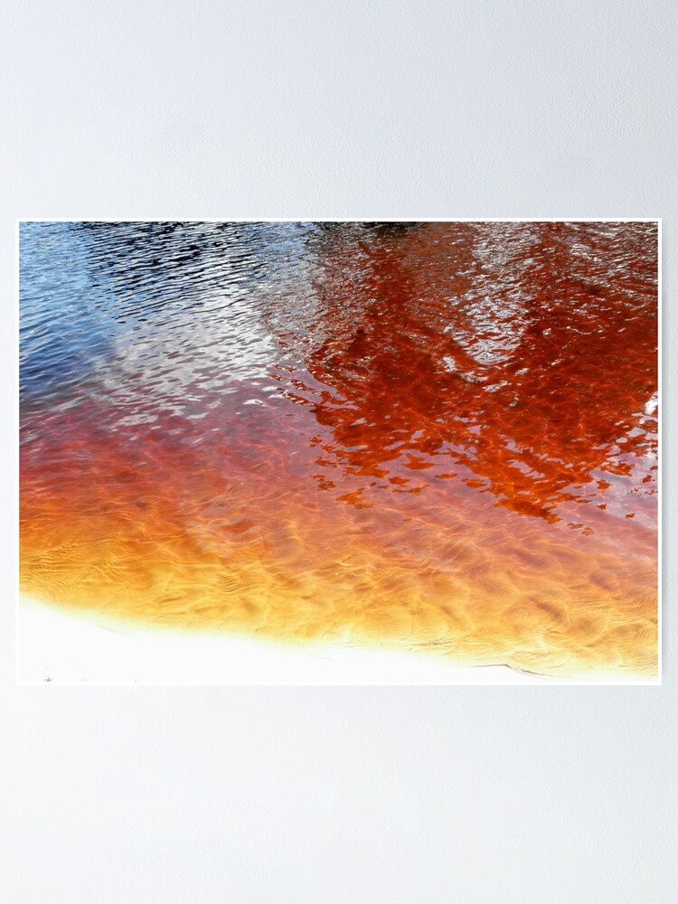 "Sisters Creek, Rocky Cape National Park, Northern Tasmania, Australia." Poster for Sale by