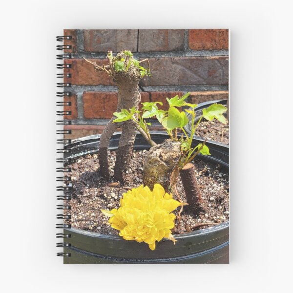 Item preview, Bonsai Trees in the Making designed and sold by Twittlefish.