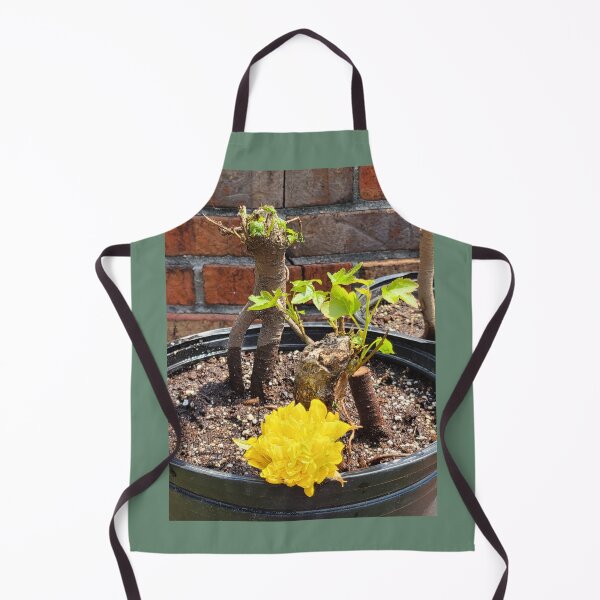 Item preview, Bonsai Trees in the Making designed and sold by Twittlefish.