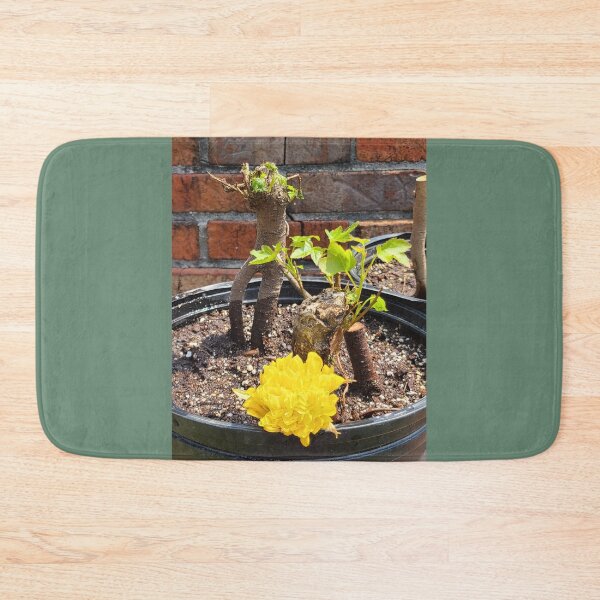 Item preview, Bonsai Trees in the Making designed and sold by Twittlefish.