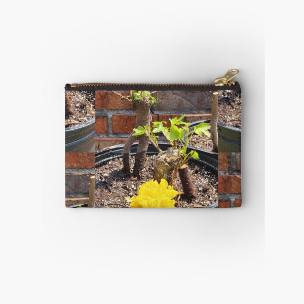 Item preview, Bonsai Trees in the Making designed and sold by Twittlefish.