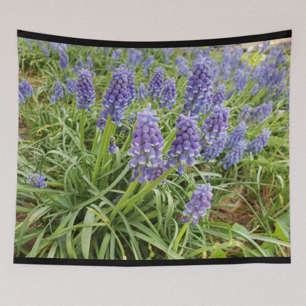 Item preview, Grape Hyacinth Spring Flowers designed and sold by GrudleBay.