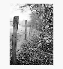 Aberdeenshire Photographic Print