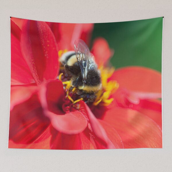 Item preview, Gorgeous Fluffy Bee on Red Flower designed and sold by CyaniRose.