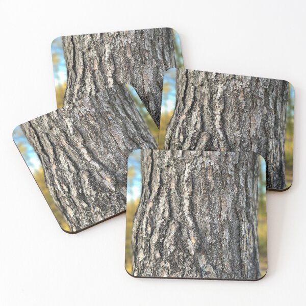 Item preview, Tree Bark - North Yorkshire Moors National Park Woodland designed and sold by WildBerryArt.
