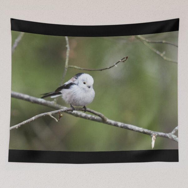 Item preview, The important Yellow eyelash. Long-tailed tit designed and sold by Jouko Lehto Photography.