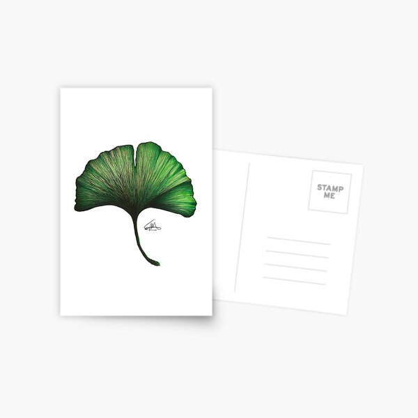 Craspire Ginkgo Leaves Clear Stamps Silicone Stamp Cards Ginkgo Plant –  CRASPIRE