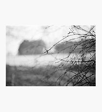 Aberdeenshire Photographic Print