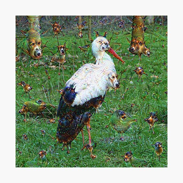 Dream Creatures, Stork 001, DeepDream Photographic Print