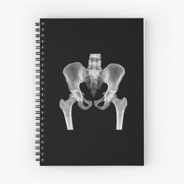 Item preview, Pelvis designed and sold by moth-creature.