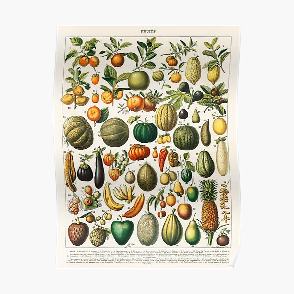 Garden vegetables Poster